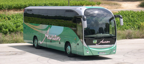 bus-1